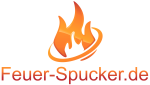 Pyroshows von Feuerkünstlern